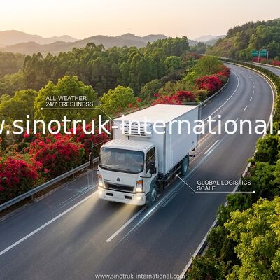 SINOTRUK HOWO 10 টন রেফ্রিজারেটেড ট্রাক 160HP RHD
