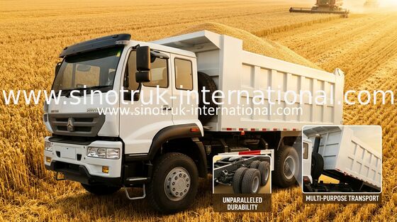 SINOTRUK গোল্ডেন প্রিন্স ডাম্প ট্রাক 10Wheels 336 এইচপি LHD 25-30tons ZZ3251N3641W